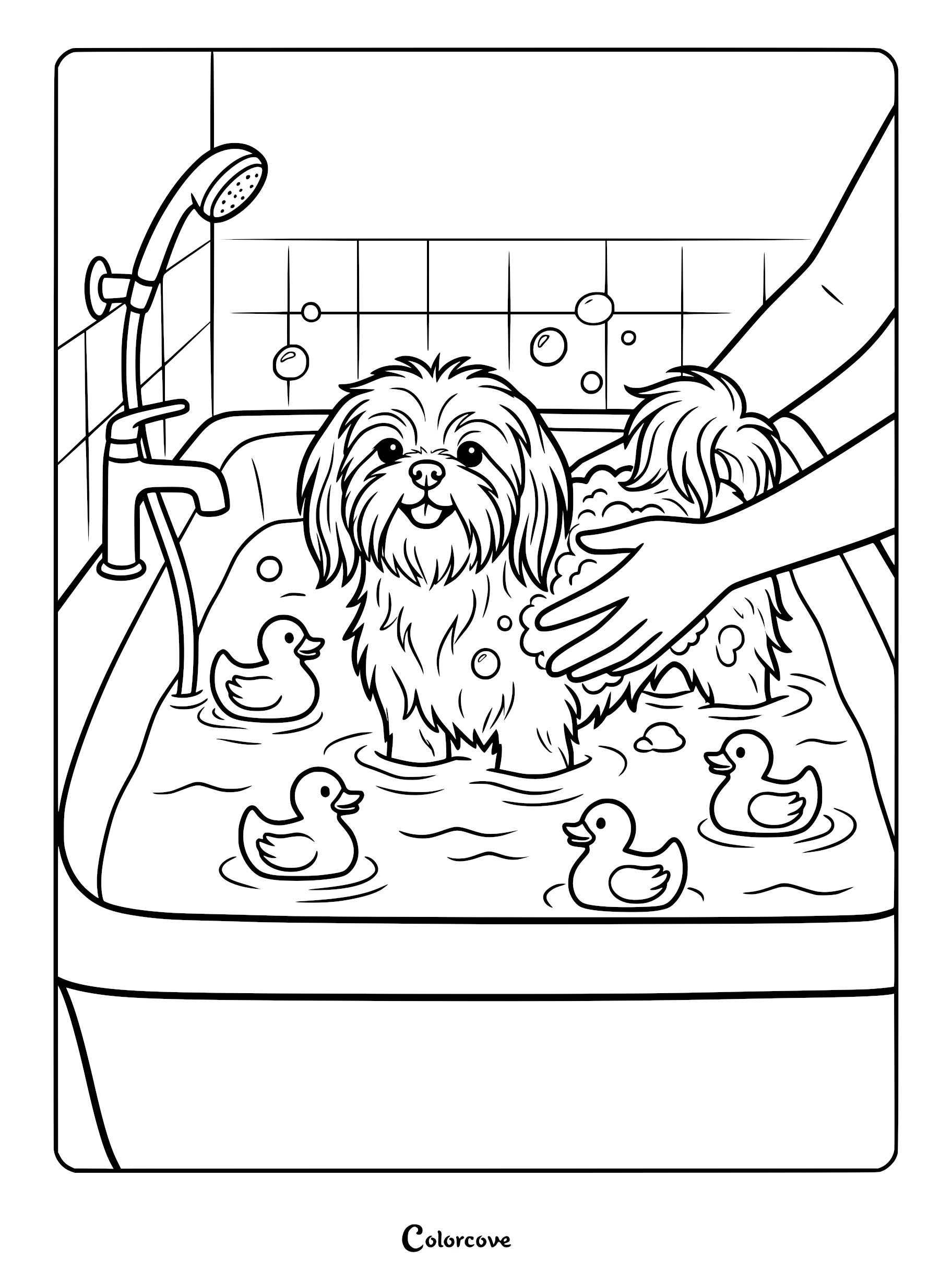 A fluffy Shih Tzu dog getting a soapy bath in a tub with three rubber ducks, printable coloring page.