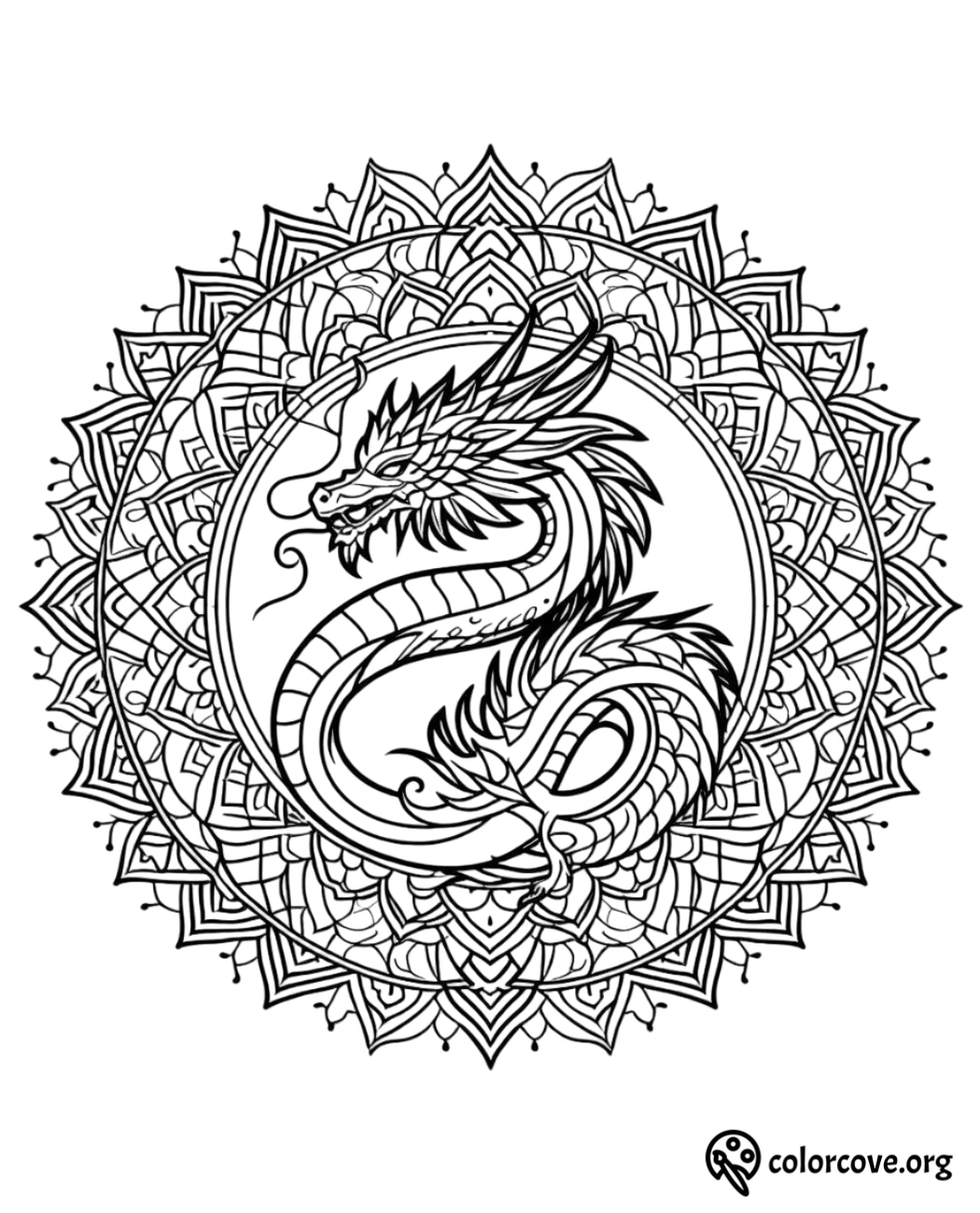 a black and white drawing of a dragon in a circular pattern