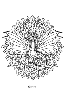 24 Free Dragon Mandala Coloring Pages