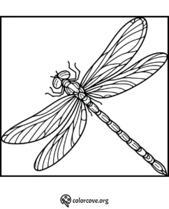 Dragonfly coloring page with detailed wings and body design, perfect for kids' and adults' creativity.