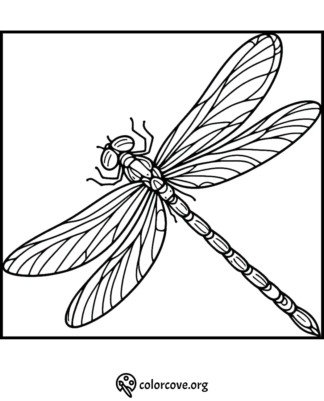 Dragonfly coloring page with detailed wings and body design, perfect for kids' and adults' creativity.