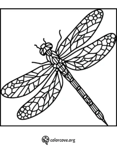 Intricate dragonfly coloring page with detailed wings and patterns for adults and kids. Printable art therapy.