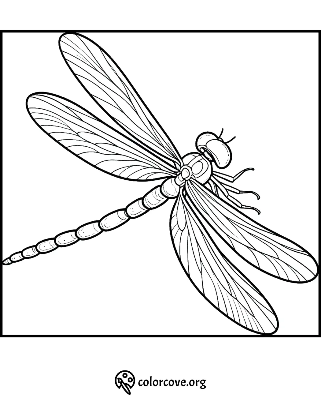 Dragonfly coloring page outline with detailed wings, perfect for kids and adults to enjoy creative coloring.