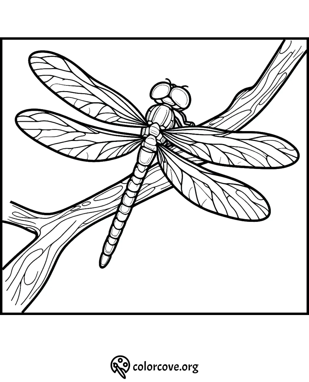 Dragonfly coloring page with intricate wing and body details on a branch, perfect for kids and adults.