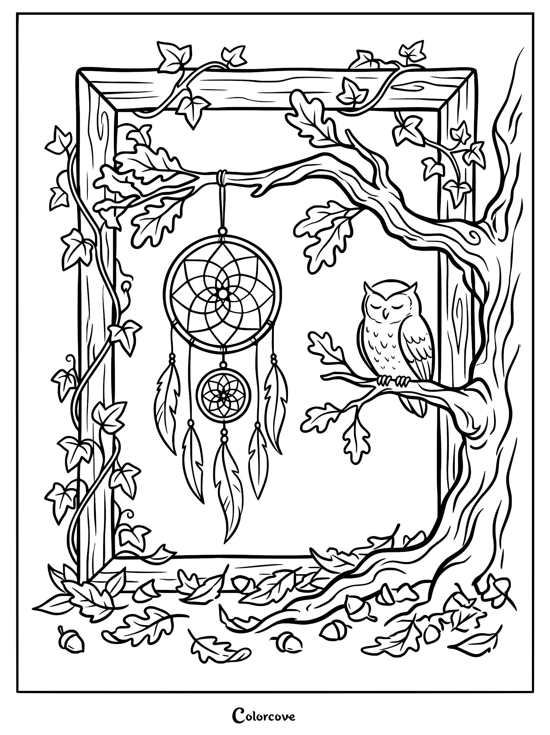 A detailed coloring page featuring a sleeping owl perched on an oak branch next to a hanging dreamcatcher inside a rustic wooden frame covered in ivy leaves and acorns.