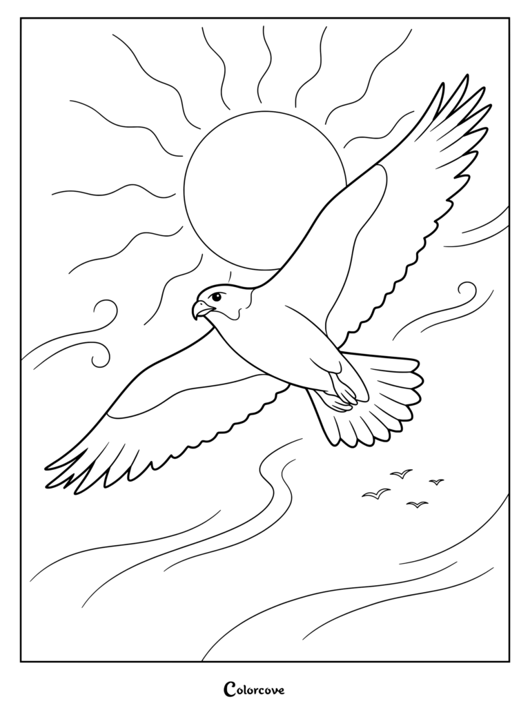 Falcon coloring page featuring a majestic bird soaring past the sun.