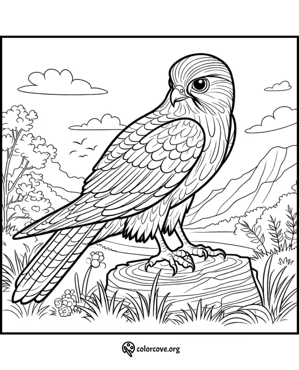 a coloring page of a bird