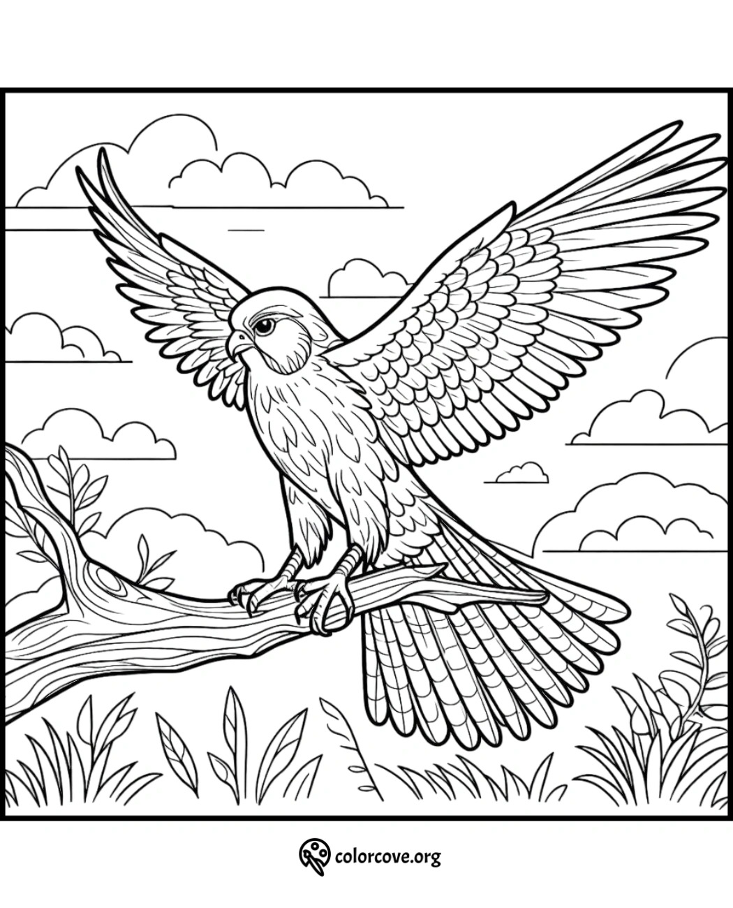 a coloring page of a bird on a branch