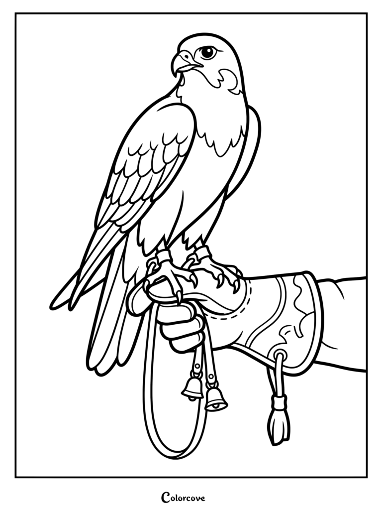A detailed falcon coloring page showing the bird perched on a leather falconry glove holding jesses and bells.