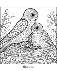 a coloring page of two birds