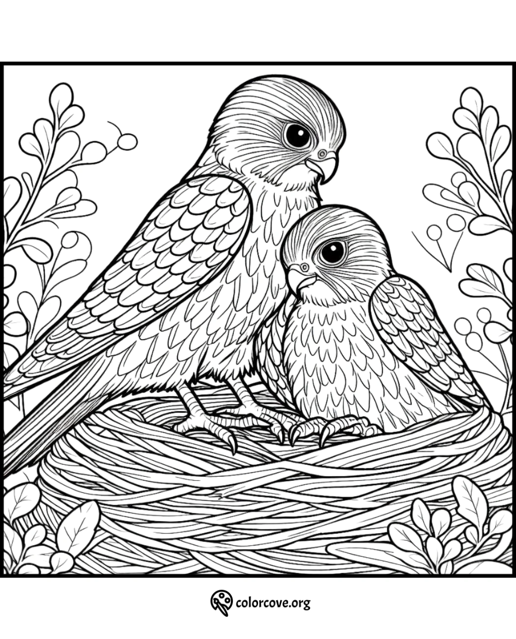 a coloring page of two birds