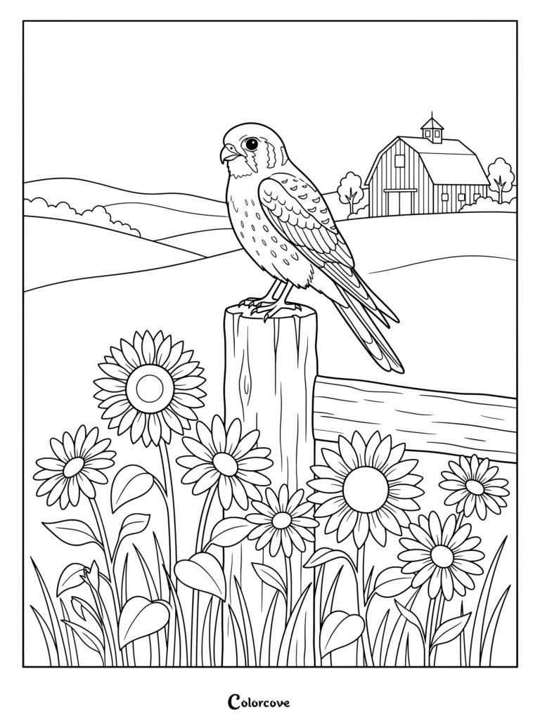 Falcon coloring page featuring a bird perched on a wooden fence post surrounded by sunflowers with a barn in the background