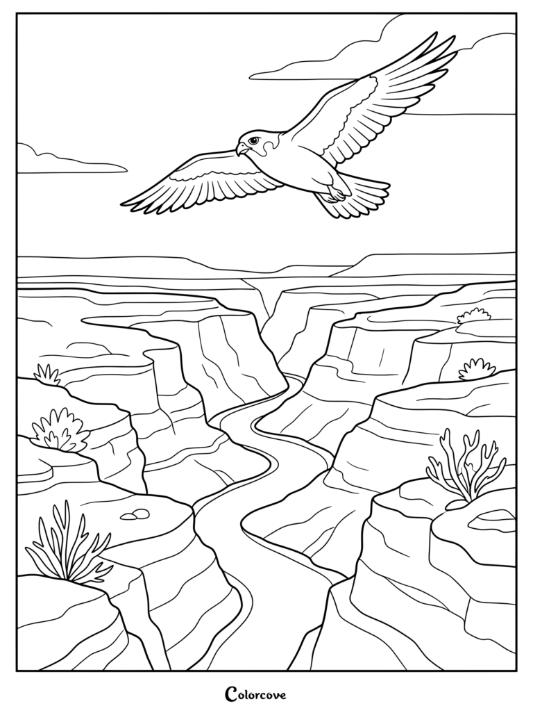 A majestic falcon soaring over a vast canyon with a winding river in this detailed coloring page.