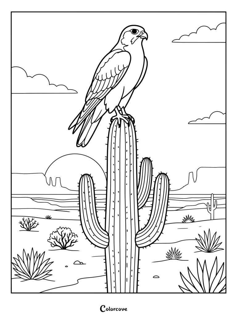 Falcon coloring page featuring a majestic bird perched on a tall saguaro cactus in a desert landscape.