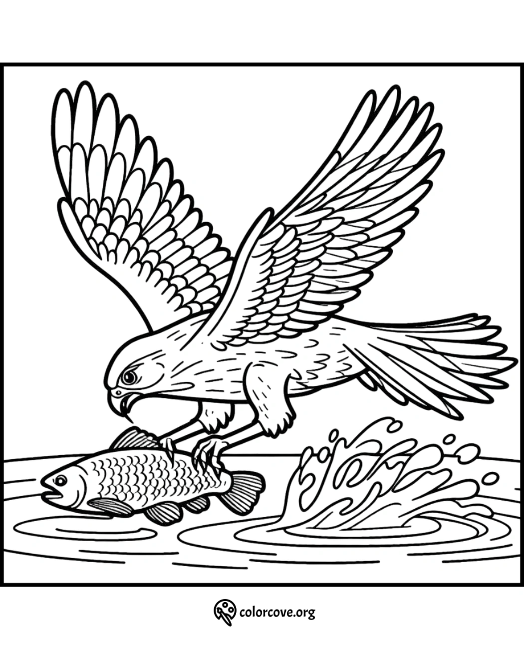 a bird with wings spread and a fish in the water