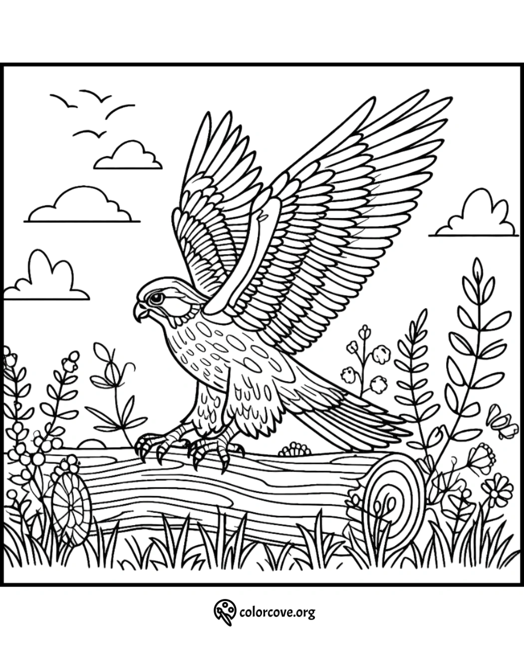 a coloring page of a bird