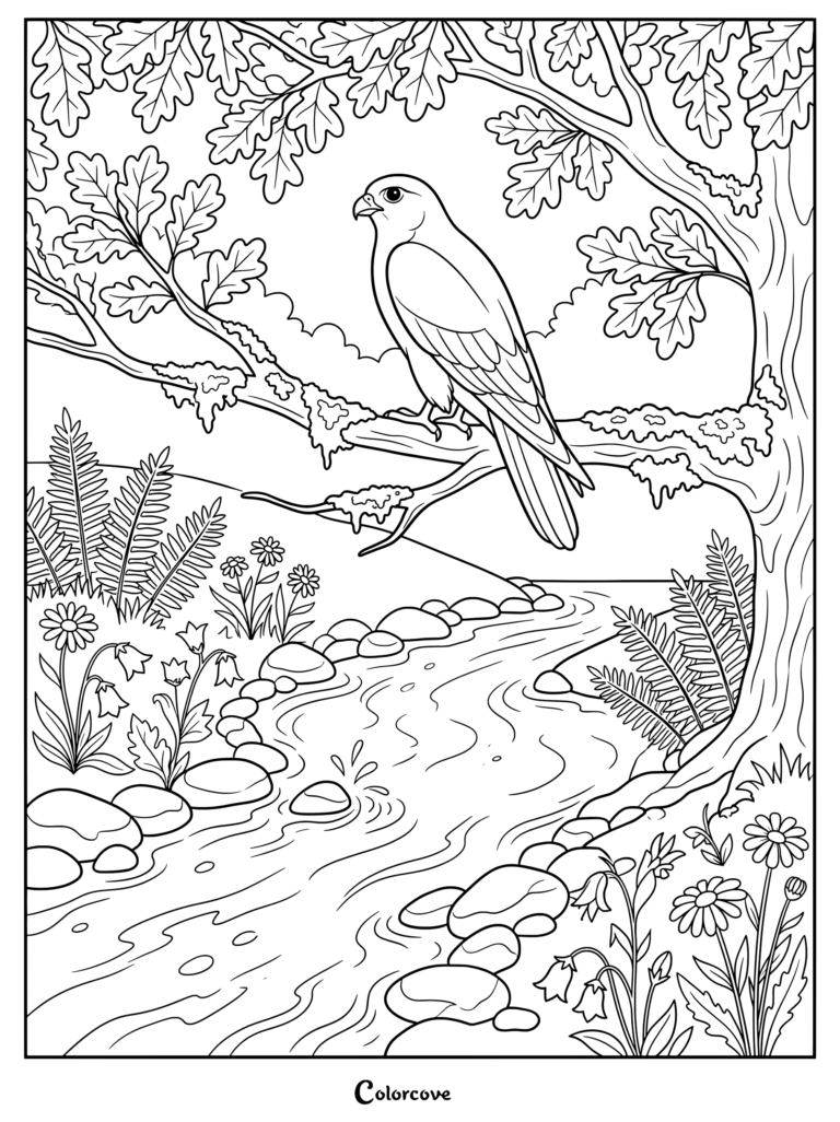 Detailed coloring page of a falcon perched on a mossy oak branch above a winding river.