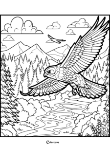 26 Free Falcon Coloring Pages