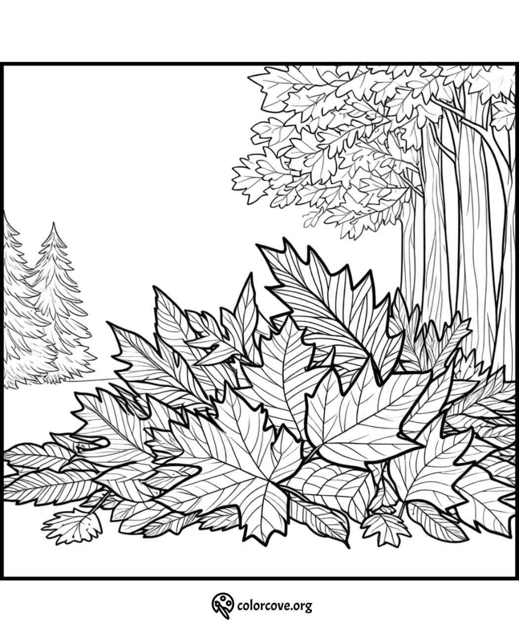 Coloring page featuring a detailed autumn forest scene with fallen leaves and various trees in a natural setting.