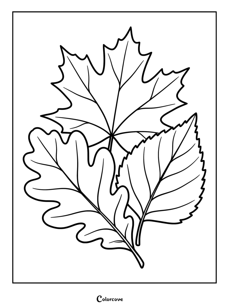 A detailed fall coloring page featuring a cluster of three distinct autumn leaves including maple and oak foliage.