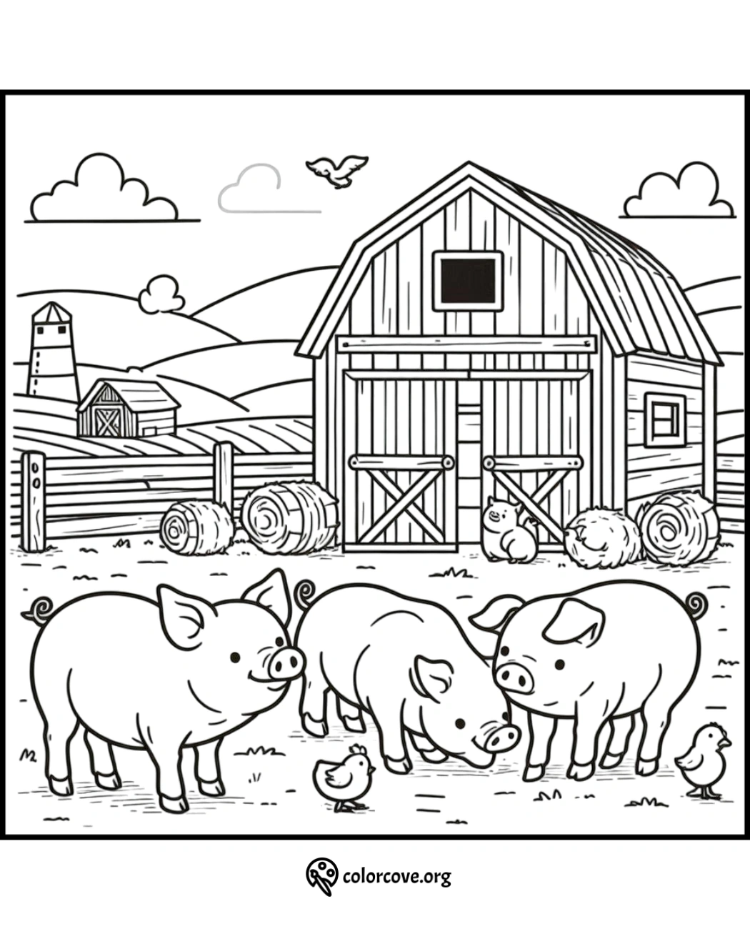 a group of pigs in a farm