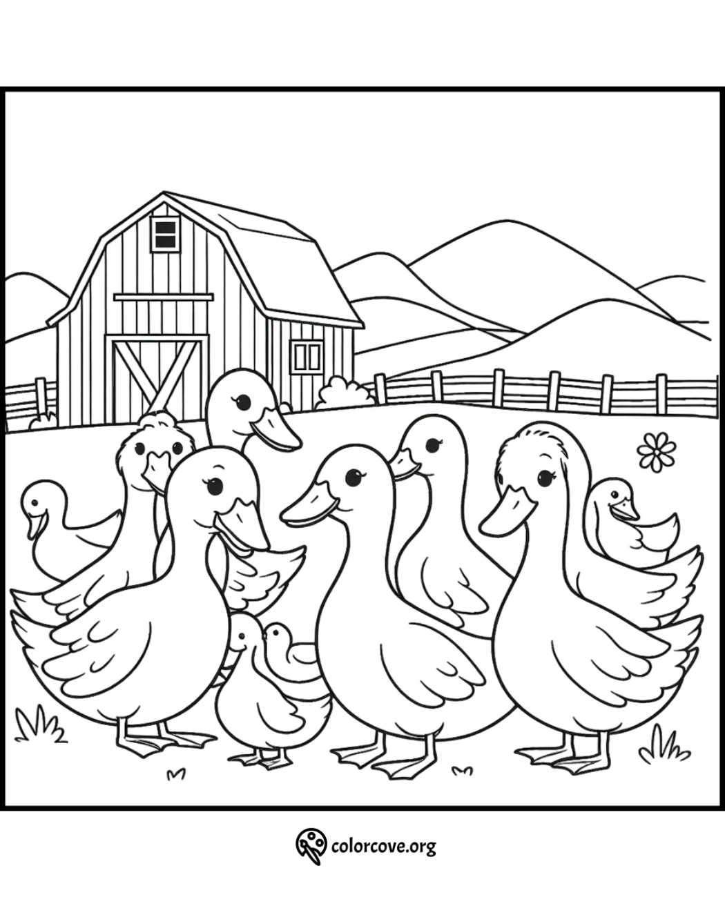 a group of ducks in a field