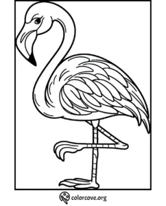 Flamingo coloring page outline for kids and adults, printable and ready to color. Coloring activity from ColorCove.org.