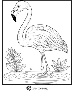 Coloring page of a flamingo standing in water with plants. Printable for kids and adults. Visit colorcove.org for more.