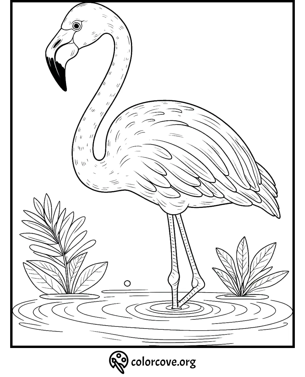 Coloring page of a flamingo standing in water with plants. Printable for kids and adults. Visit colorcove.org for more.