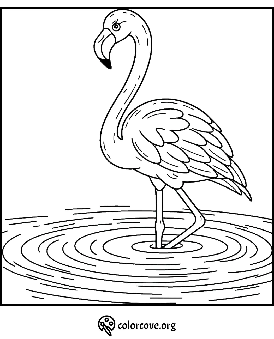 Flamingo standing in water coloring page from colorcove.org - Free printable bird coloring sheet for kids