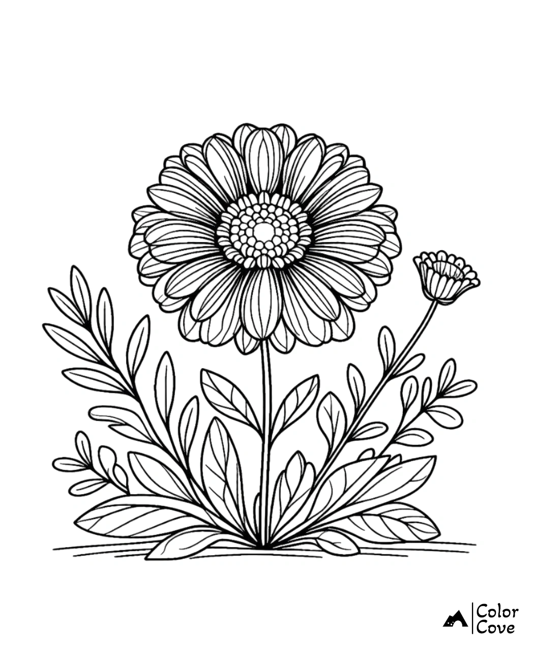 Coloring page with a detailed flower illustration, featuring large petals, leaves, and stems. Perfect for floral art enthusiasts.