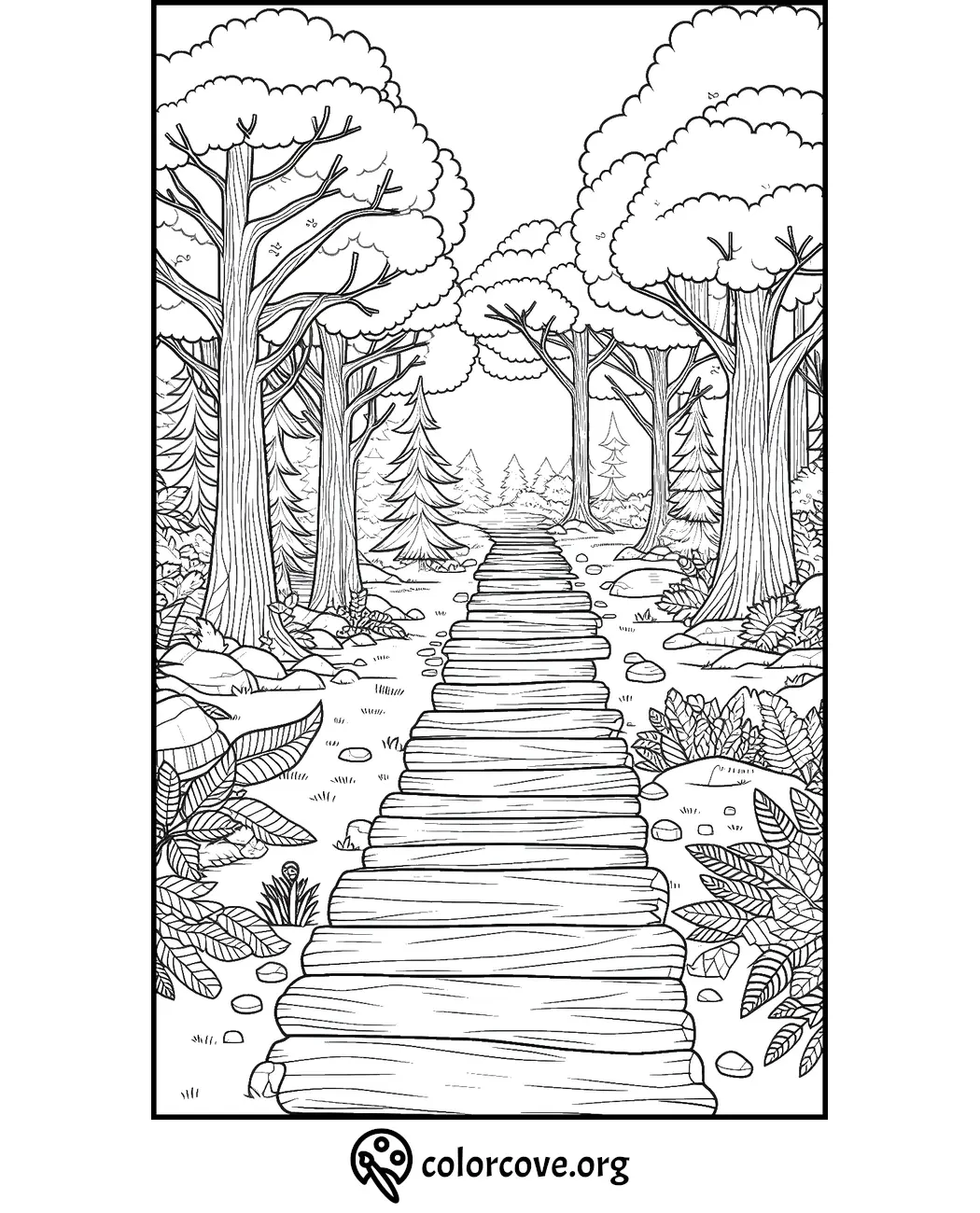 Coloring page of a forest pathway surrounded by trees and foliage, provided by colorcove.org.