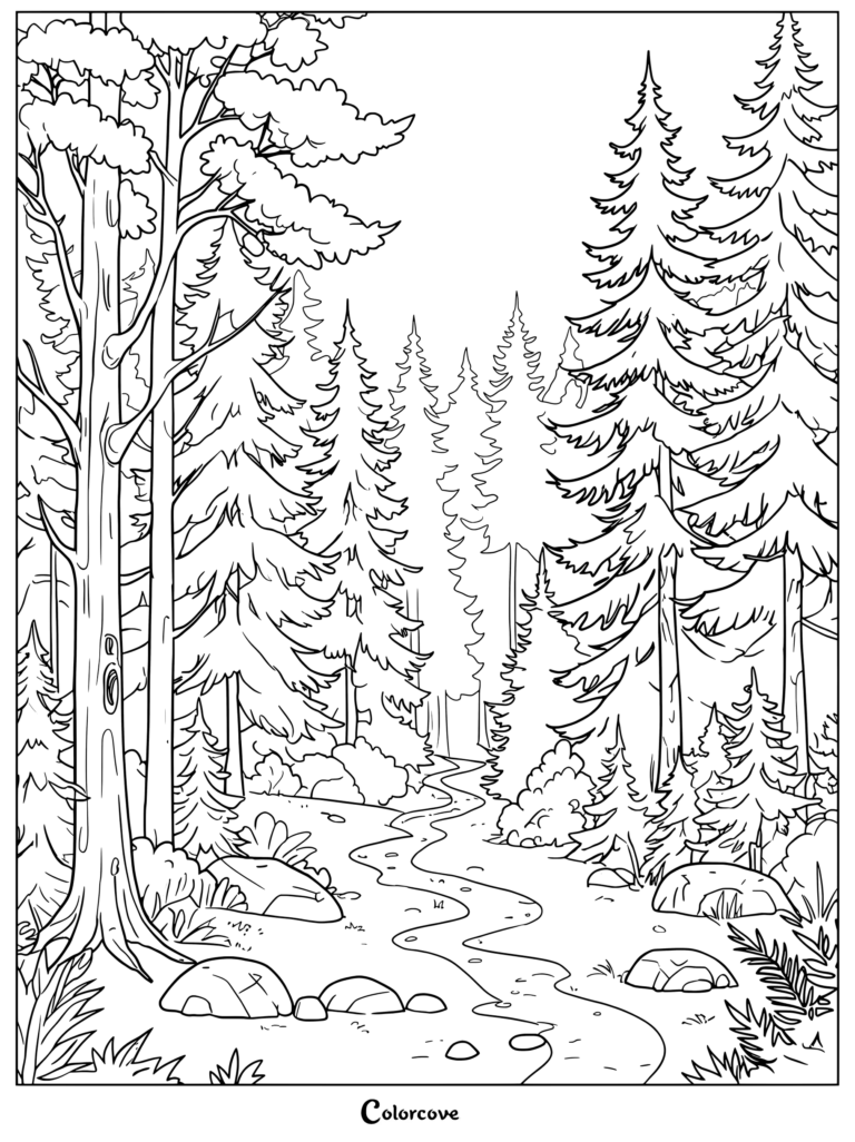 Coloriage à imprimer représentant un chemin sinueux à travers une dense Forêt de pins et de feuillus, avec des rochers et du feuillage.