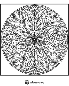 a black and white circular pattern