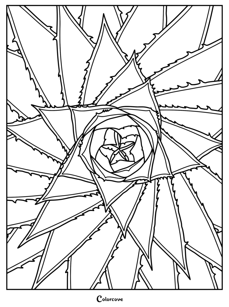 A geometric fractal coloring page featuring a top-down view of a spiky succulent plant with sharp, layered leaves spiraling toward a central star shape.