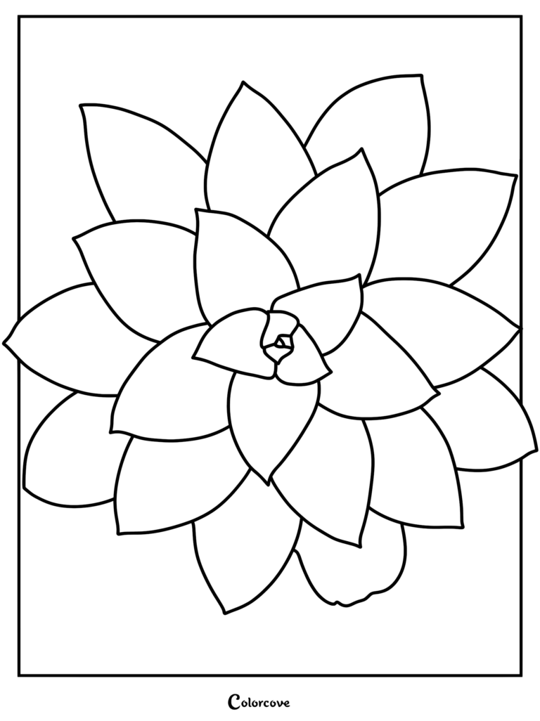 A top-down view of a succulent plant with layered, pointed leaves forming a fractal pattern in this printable coloring page.