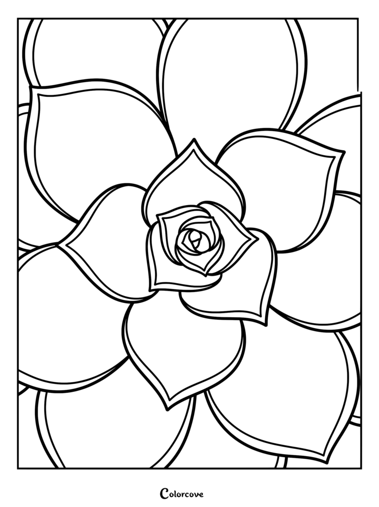 A top-down view of a succulent plant with thick, pointed leaves arranged in a fractal pattern, presented as a clean line art coloring page.
