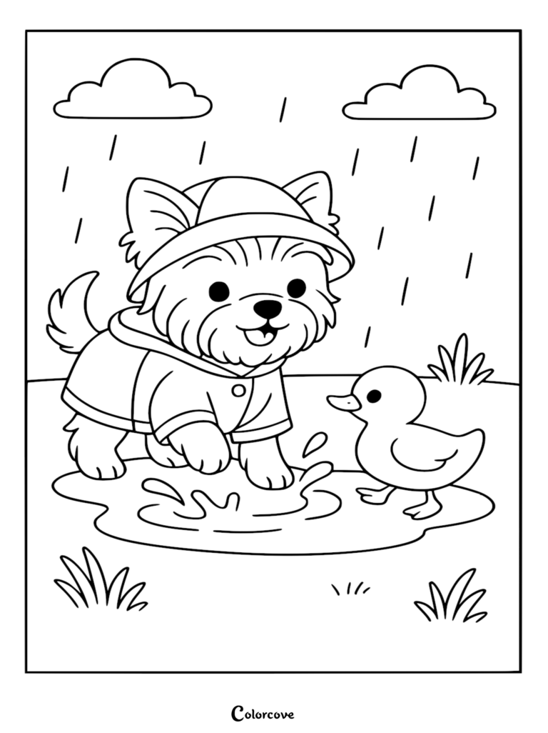 A cute Free Corgi wearing a raincoat and hat splashing in a rain puddle next to a small duck, line art coloring page.