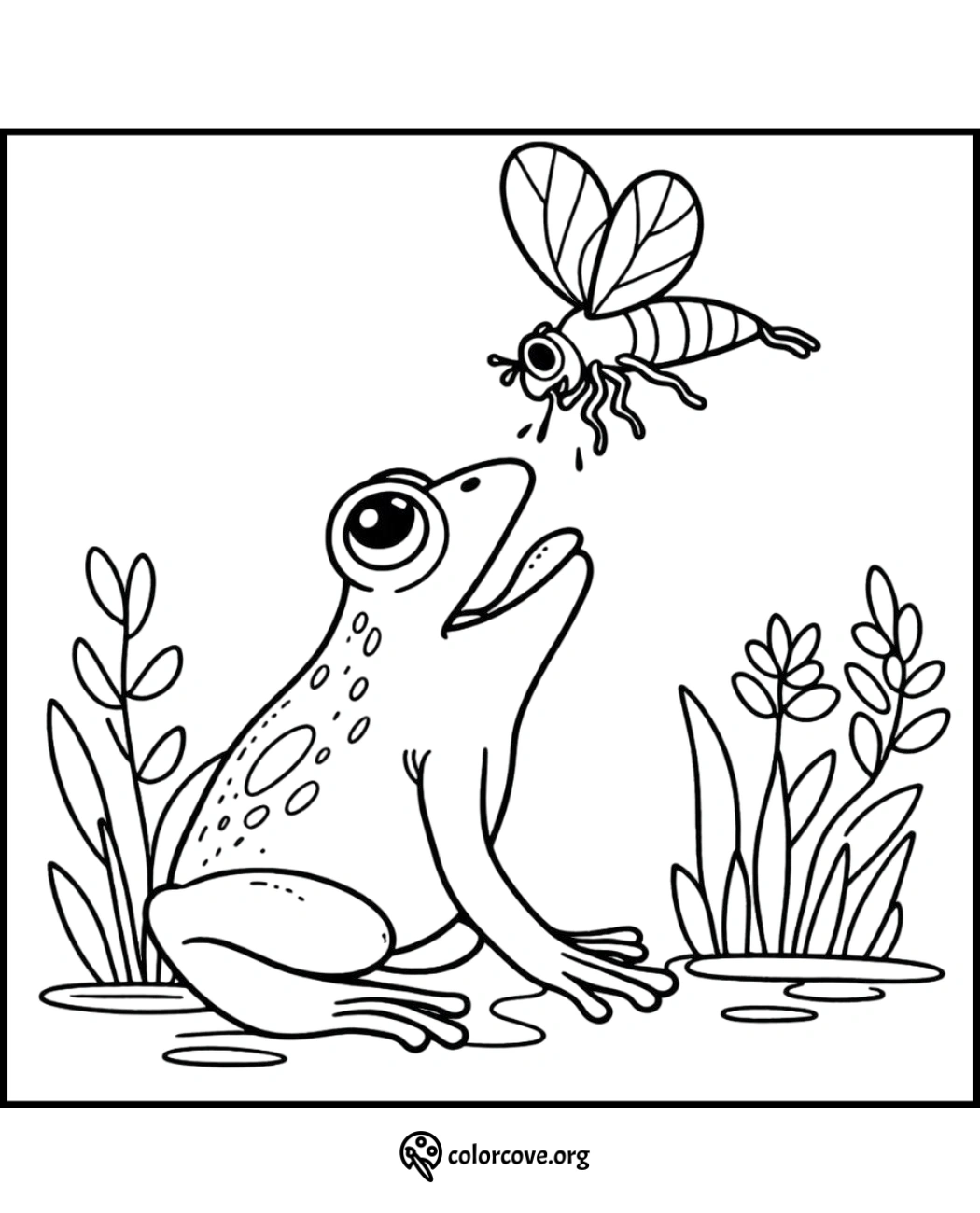 Coloring page of a frog catching a fly with its tongue, surrounded by plants in a pond setting.