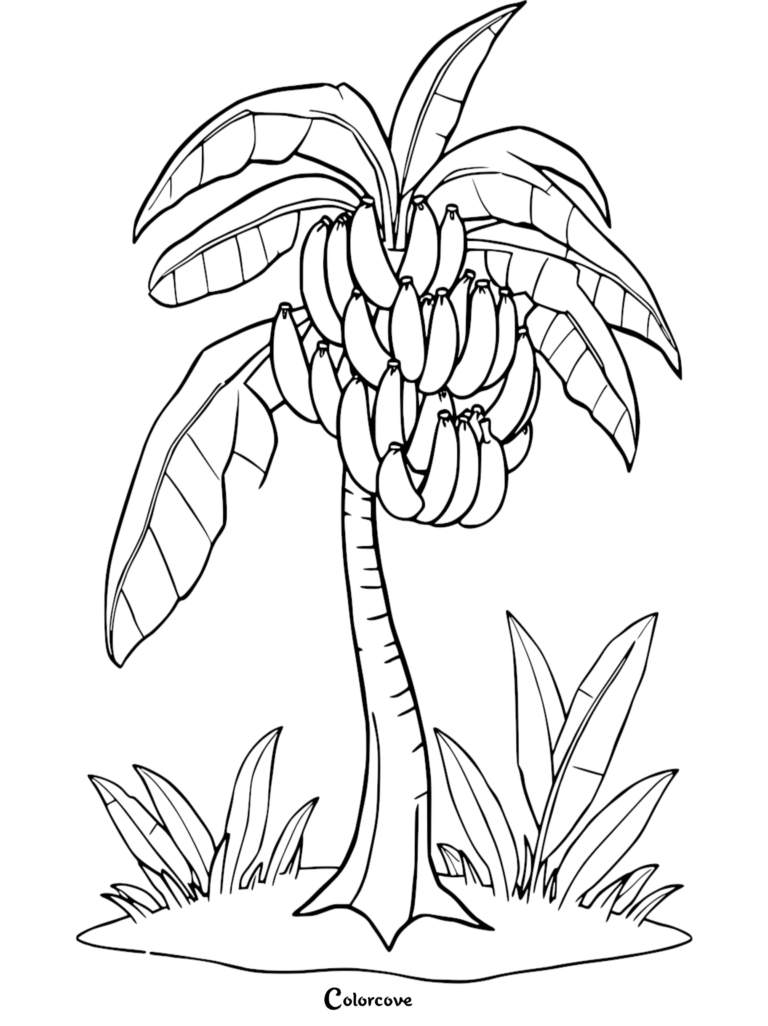 A printable banana tree coloring page for kids featuring a large bunch of bananas and tropical leaves.
