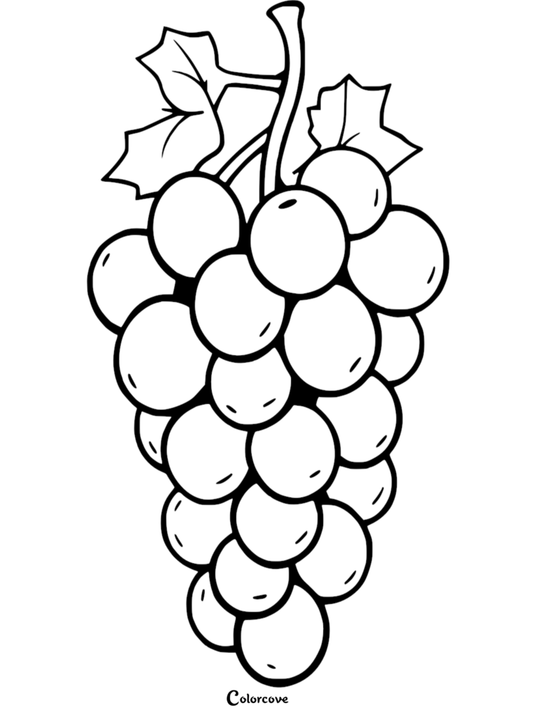 A detailed coloring page featuring a large, realistic bunch of grapes with two prominent leaves attached to the stem.