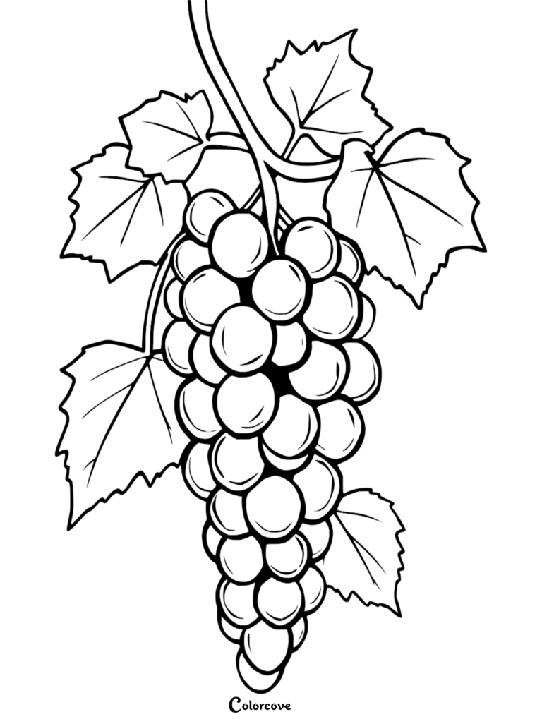 A detailed coloring page featuring a large bunch of grapes hanging from a vine with several broad leaves.