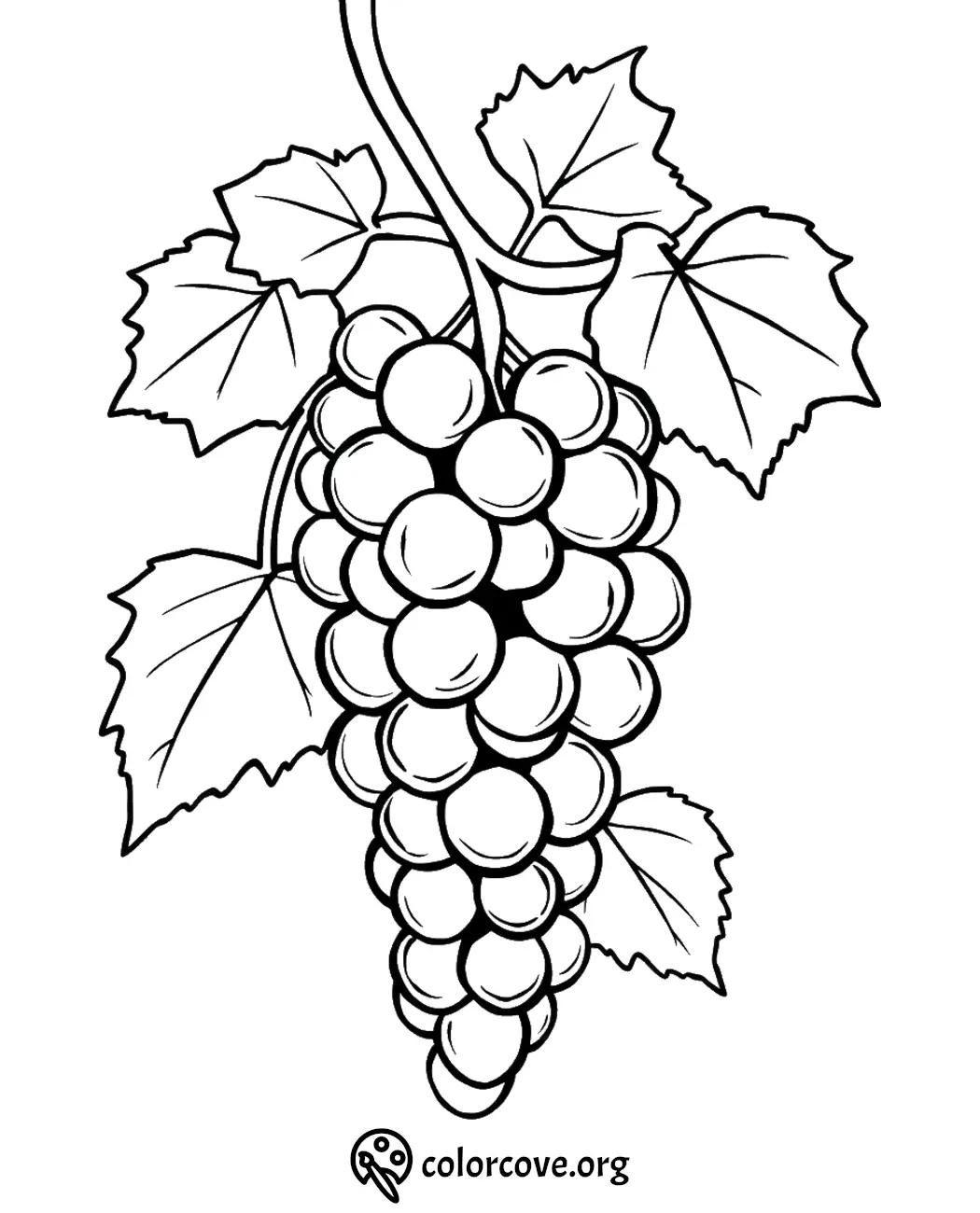 Grapes coloring page: bunch of grapes with leaves outline for kids' coloring activity.