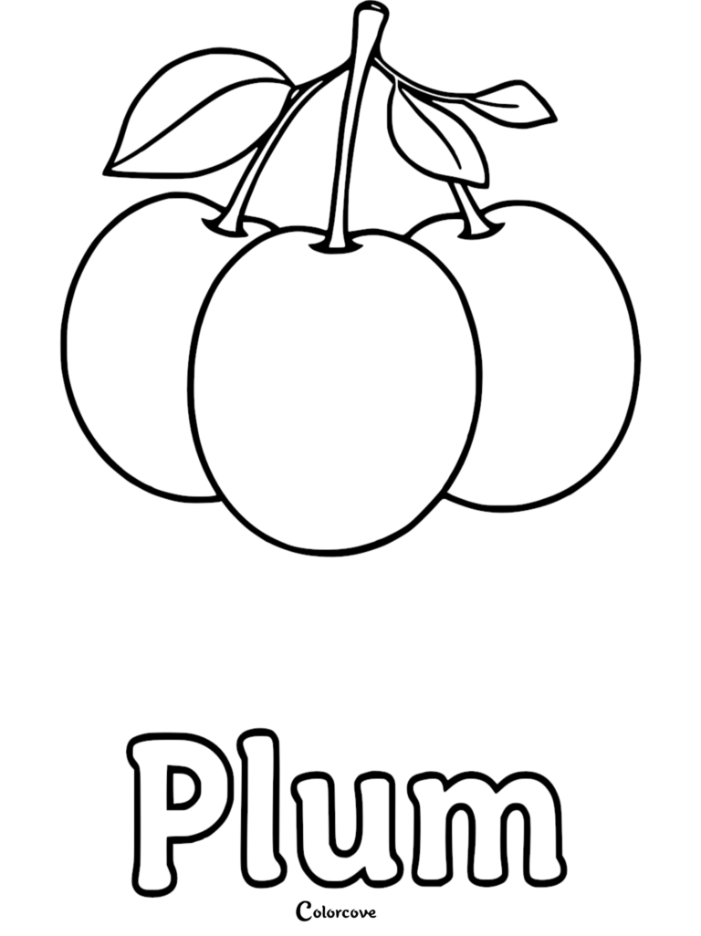 Three fresh plums with stems and leaves on a printable coloring page.
