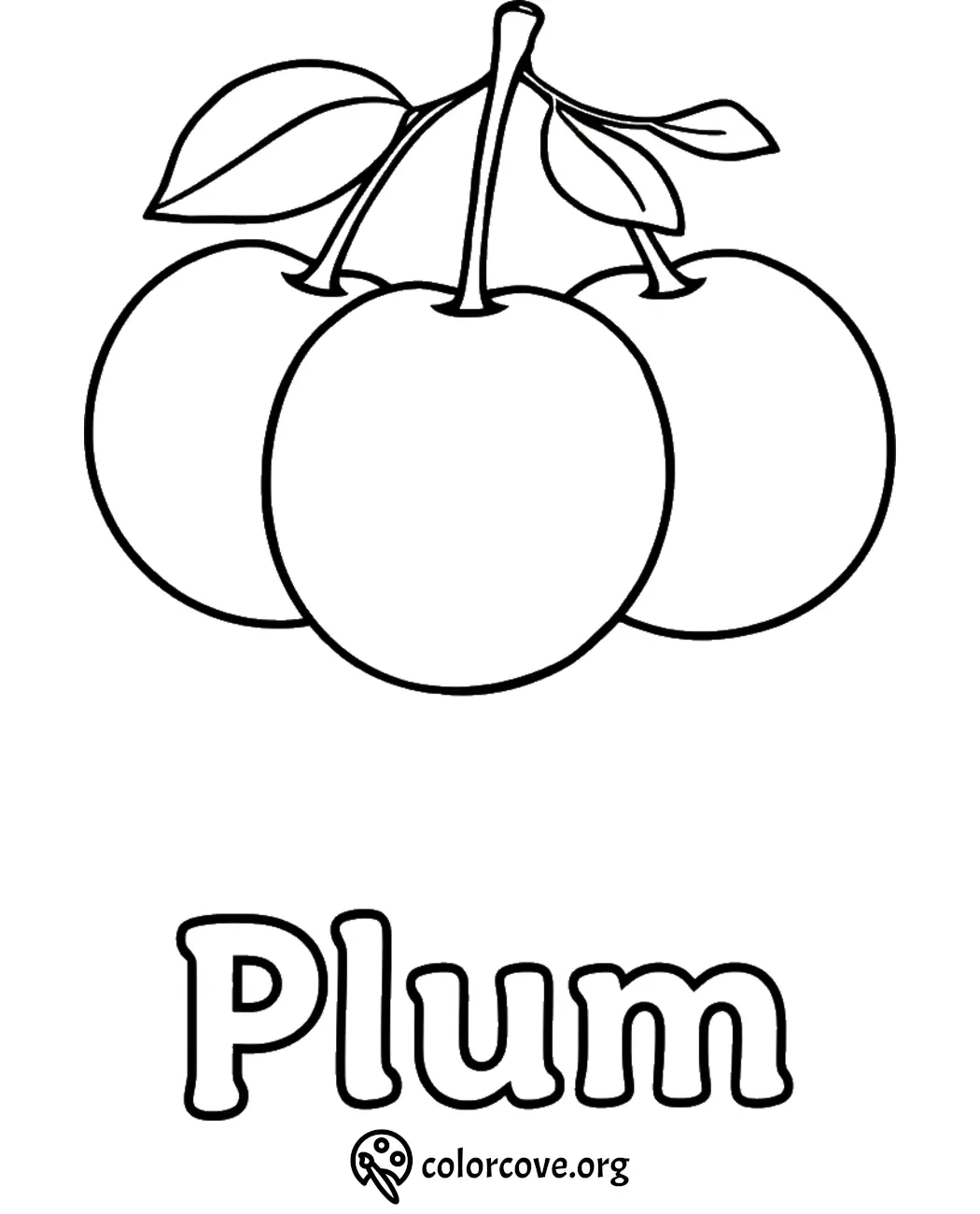 Coloring page with three plums and leaves, featuring the text Plum at the bottom. Perfect for kids' fruit activities.