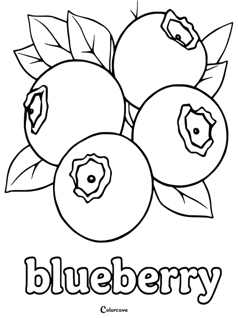 A cluster of three blueberries with leaves in this free printable fruit coloring page.