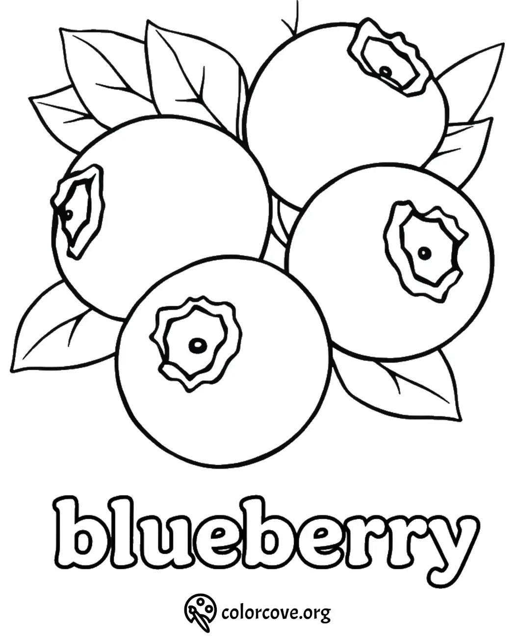 Coloring page of blueberries with leaves, featuring the word blueberry below. Perfect for kids' fruit-themed activities.