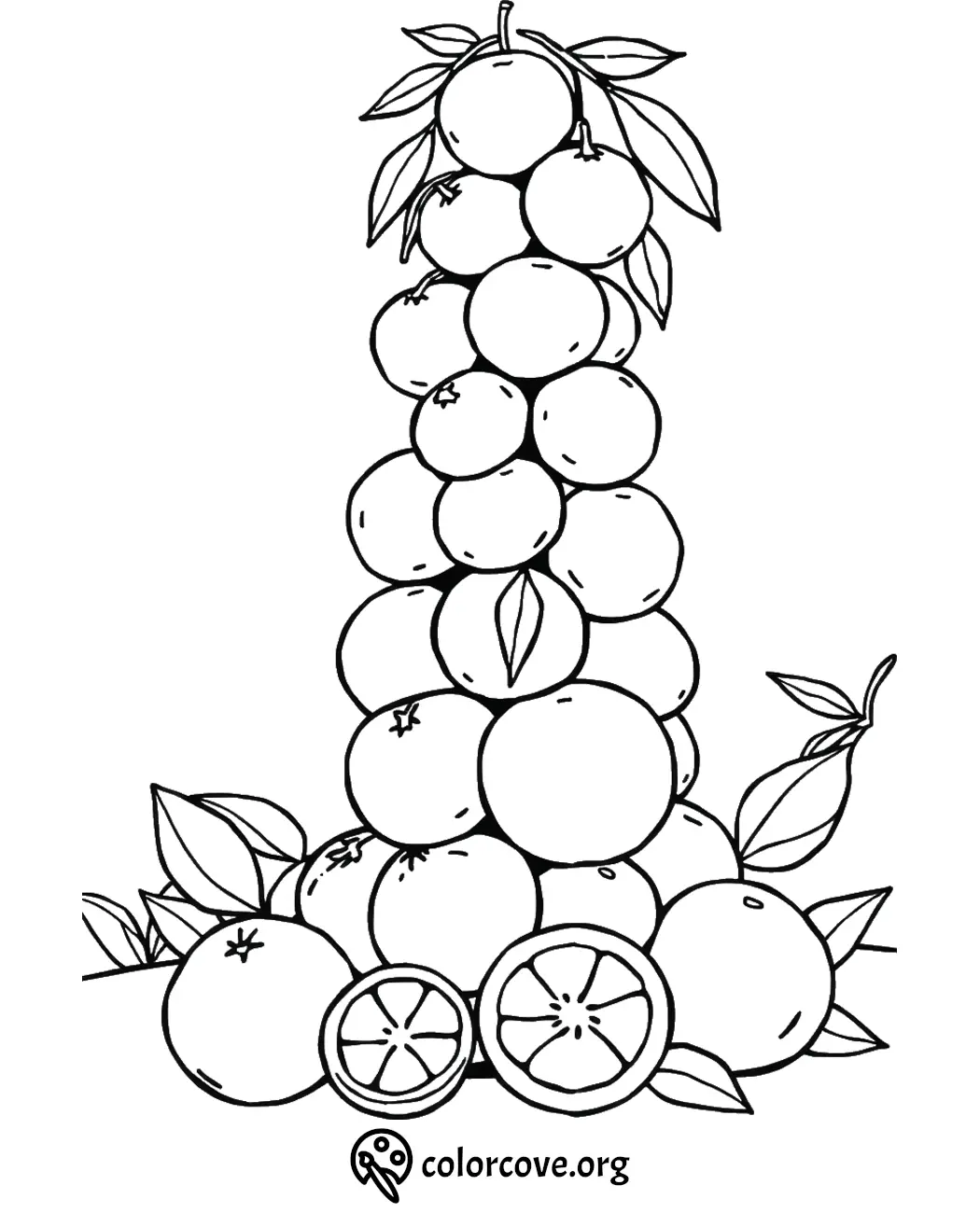 Coloring page of oranges stacked in a pyramid with leaves and sliced segments, by colorcove.org.