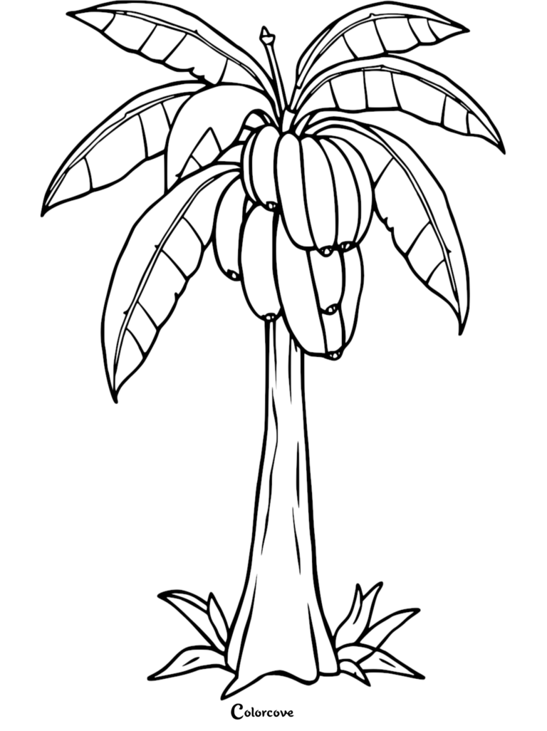 A printable coloring page featuring a banana tree with a large bunch of bananas hanging from the top.