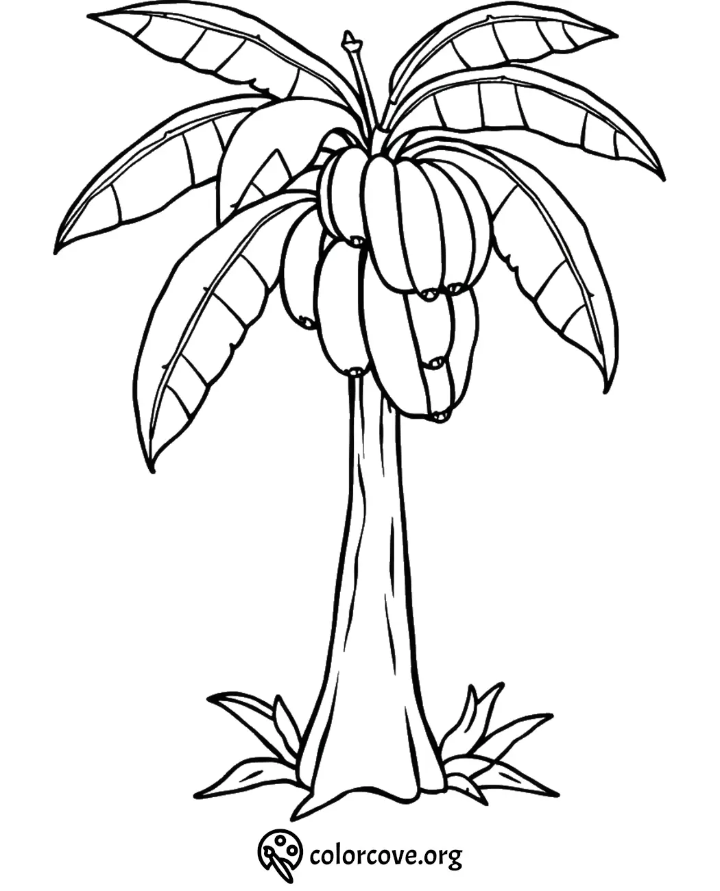 Coloring page of a banana tree with bunches of bananas and large leaves. Perfect for kids' educational activities.